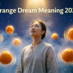 Orange Dream Meaning