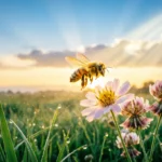 Bee Dream Meaning