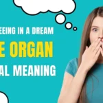 Woman Seeing Male Organ in Dream Biblical Meaning