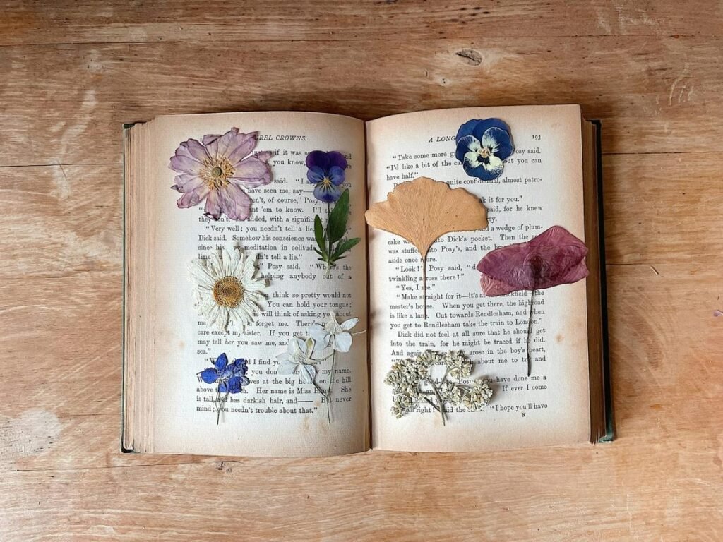 Press Flowers Between Paper
