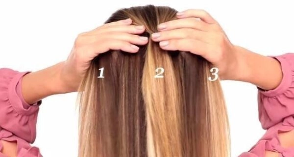 Separate Your Hair Into Three Sections